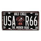 Evilandat Blechschild Metallschild Wandbild Dekoschild Nummernschild Premium Garage Design Bunt Vintage Nostalgie 30,5 x 15,5CM