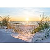 Runa Art Fototapete Strand Sonnenuntergang 352 x 250 cm Vlies Tapeten XXL Moderne Wandtapete Wohnzimmer Schlafzimmer Meer Natur 9559011a