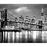 decomonkey Fototapete New York Manhatan City 350x256 cm XL Tapete Wandbild Bild Fototapeten Tapeten Wandtapete Wand Schlafzimmer Wohnzimmer Wand Schlafzimmer Wohnzimmer Brücke Architektur schwarz