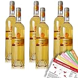 6 Flaschen Kourtaki Samos, süss, griechischer Weisswein (6 x 0,75 l) | + VINOX Weinkarten mit Tipps vom Sommelier