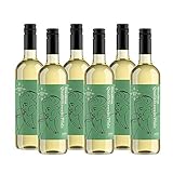 Amazon-Marke - Compass Road Weißwein Riesling, Deutschland (6x0,75L)