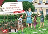 Wo der Ketchup wächst. Wie die Tomate keimt und reift. Kamishibai Bildkartenset: Gärtnern mit Kindern: Tomatenpflanzen pflegen für Kinder ab 4 (Sachgeschichten für unser Erzähltheater)