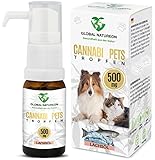 GLOBAL NATUREON® Cannabi Pets Öl 500 mg (30 ml) auf Lachsölbasis, Beruhigungsmittel für Hunde und Katzen, Tropfen gegen Angst, Stress & für Reise, Naturprodukt für Tiere, ohne Konservierungsstoffe