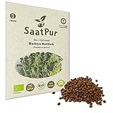 SaatPur® Saatgut Bio-Keimsprossen Daikon-Rettich 75g, hohe Keimkraft, Micro-Greens für vitaminreiche, vegan, Keimsaat Sprossen Samen mikrobiologisch untersucht, nachhaltige Graspapier-Verpackung