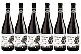 DELINAT – Weinpaket Mundo de Yuntero tinto 2020, Tempranillo-Rotwein aus Spanien, trocken, 6 Fl. Biowein à 0.75 l