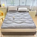 Grau,120 * 200cm, Klappmatratze Futon Matratze Bodenmatratze Weich Bequem Gepolsterte Gesteppte Bett Dicke Aufrollbar Faltmatratze Schlafmatte Rollmatratze Bodenliege Gästematratze