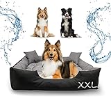 Black Lion Hundebett Grosse Hunde waschbar 115x95x20cm, Hundebett XXL + 2 Hundekissen wasserdicht, Hundebett mittelgroße Hunde, Hundeschlafplatz, Hundebetten, Hundezubehör, Hund, Indoor und Outdoor