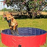 lionto Hundepool faltbar aus kratzfestem PVC-Material, Ø 120 cm, Höhe 30 cm, Anti-Rutsch-Belag & Abflussstopfen für schnelle Entleerung, Keine Pumpe benötigt, robuster Kinderpool, blau/rot