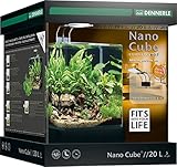 Dennerle Nano Cube Complete+ 60 Liter - Mini Aquarium mit Abgerundeter Frontscheibe - Komplett-Set