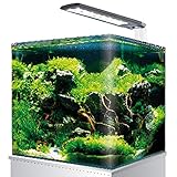 Amtra Nanotank Cube System 60 (38 X 38 X 43 cm)